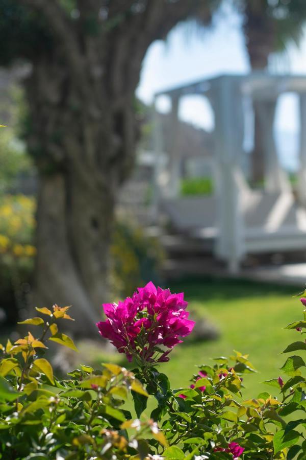 Bodrum Infinity Turgutreis Dış mekan fotoğraf
